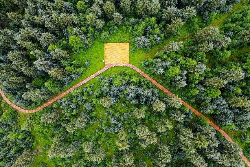 总产值近11万亿元！我国森林生态系统“三大效益”得到有效发挥