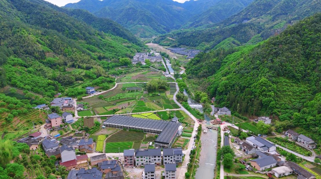 绿水青山“瞰”中国丨浙江松阳：从山野到药谷，林业共富园区点绿成金