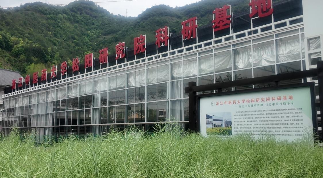 绿水青山“瞰”中国丨浙江松阳：从山野到药谷，林业共富园区点绿成金