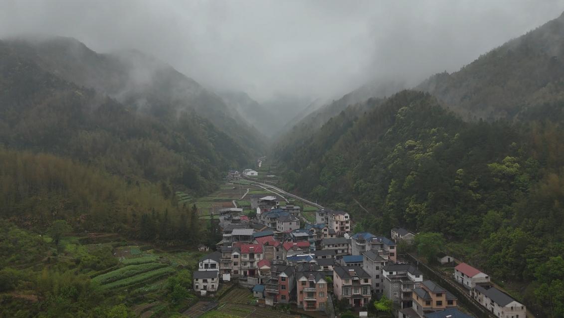 绿水青山“瞰”中国丨小石斛撬动大产业，崖壁长出“黄金草”