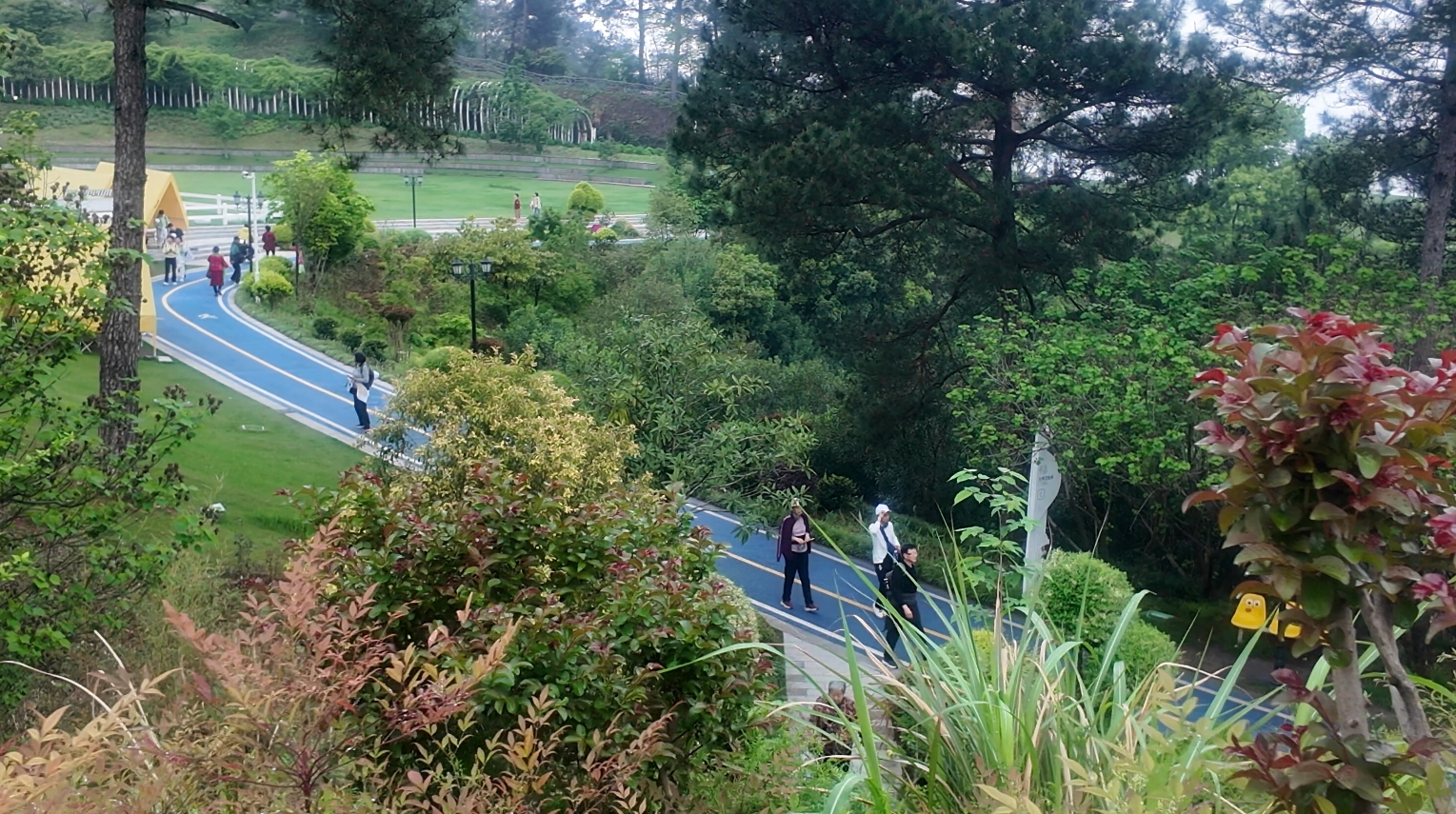 绿水青山“瞰”中国丨浙江淳安：林下复合经营 绿富协同谱新篇