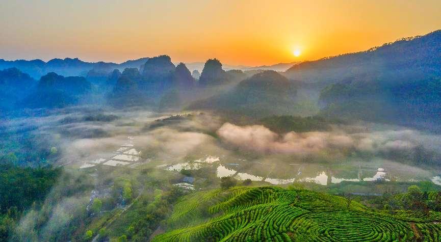 国家林草局：我国珍稀物种数量持续回升