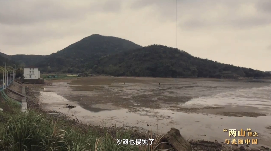“两山”理念与美丽中国丨修堤护海 焕新海岸肌理