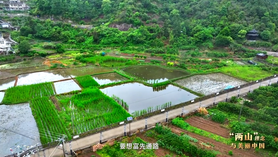 “两山”理念与美丽中国丨修堤护海 焕新海岸肌理