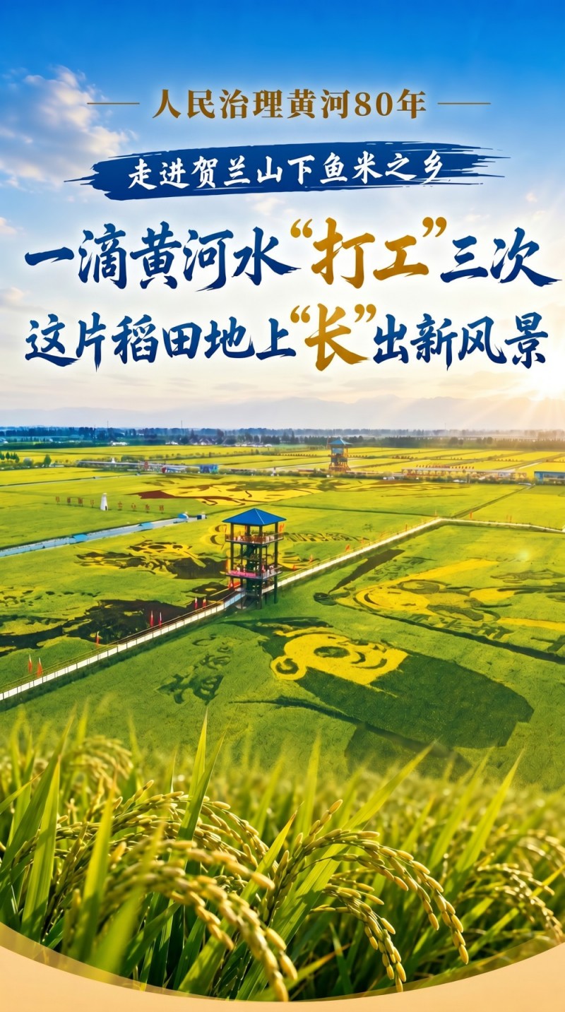 一滴黄河水“打工”三次 稻田地上“长”出新风景 一滴黄河水“打工”三次 稻田地上“长”出新风景