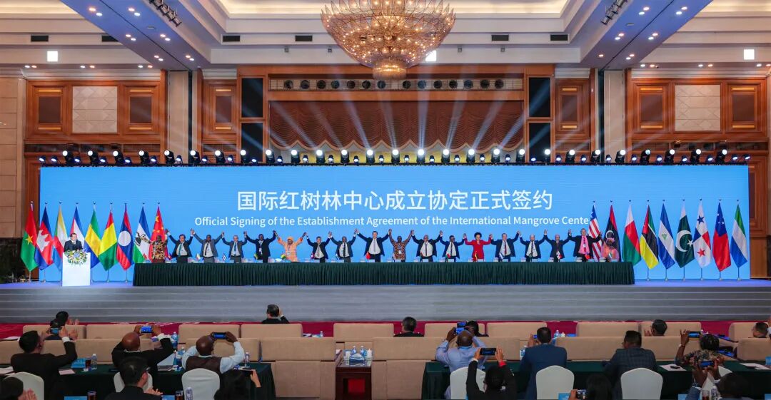 美丽中国·青绿手记丨让自然不再是城市的“孤岛风景”