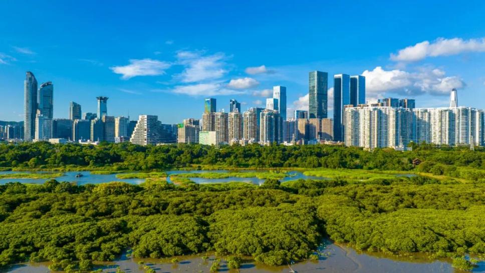 美丽中国·青绿手记丨让自然不再是城市的“孤岛风景”