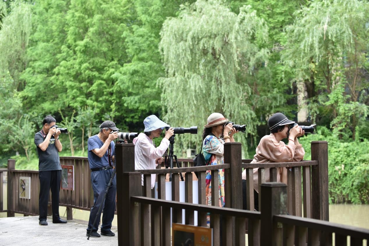 美丽中国·青绿手记丨藏在市井清波里的治水答卷