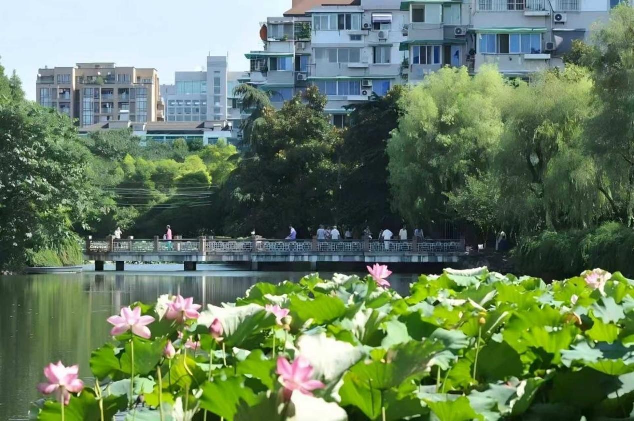 美丽中国·青绿手记丨藏在市井清波里的治水答卷