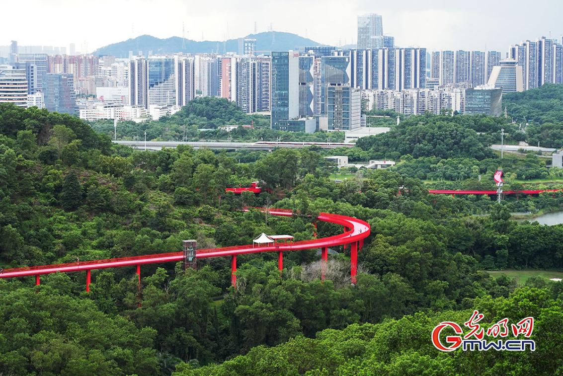 再聚中国！2026年APEC林业部长级会议在深圳召开