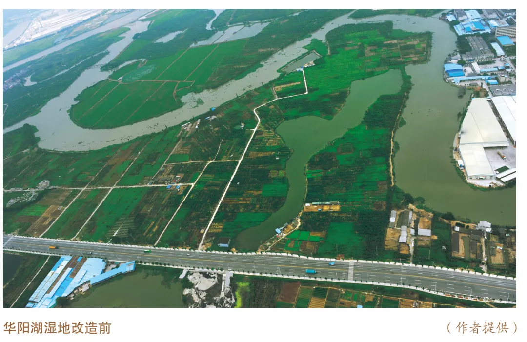 美丽中国先锋榜（5）｜广东东莞市华阳湖环境综合整治推动高质量发展