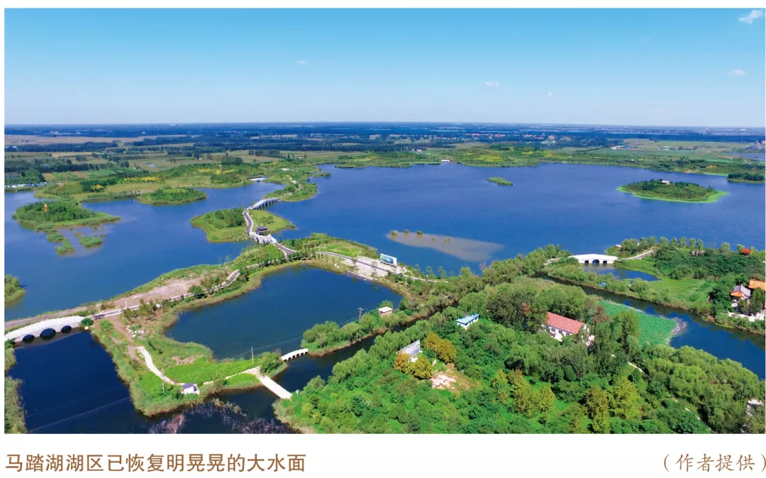 美丽中国先锋榜（7）｜山东淄博市马踏湖流域综合治理的探索