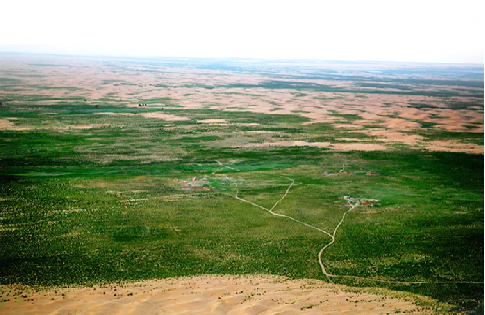 内蒙古自治区库布其立体治沙促循环产业发展