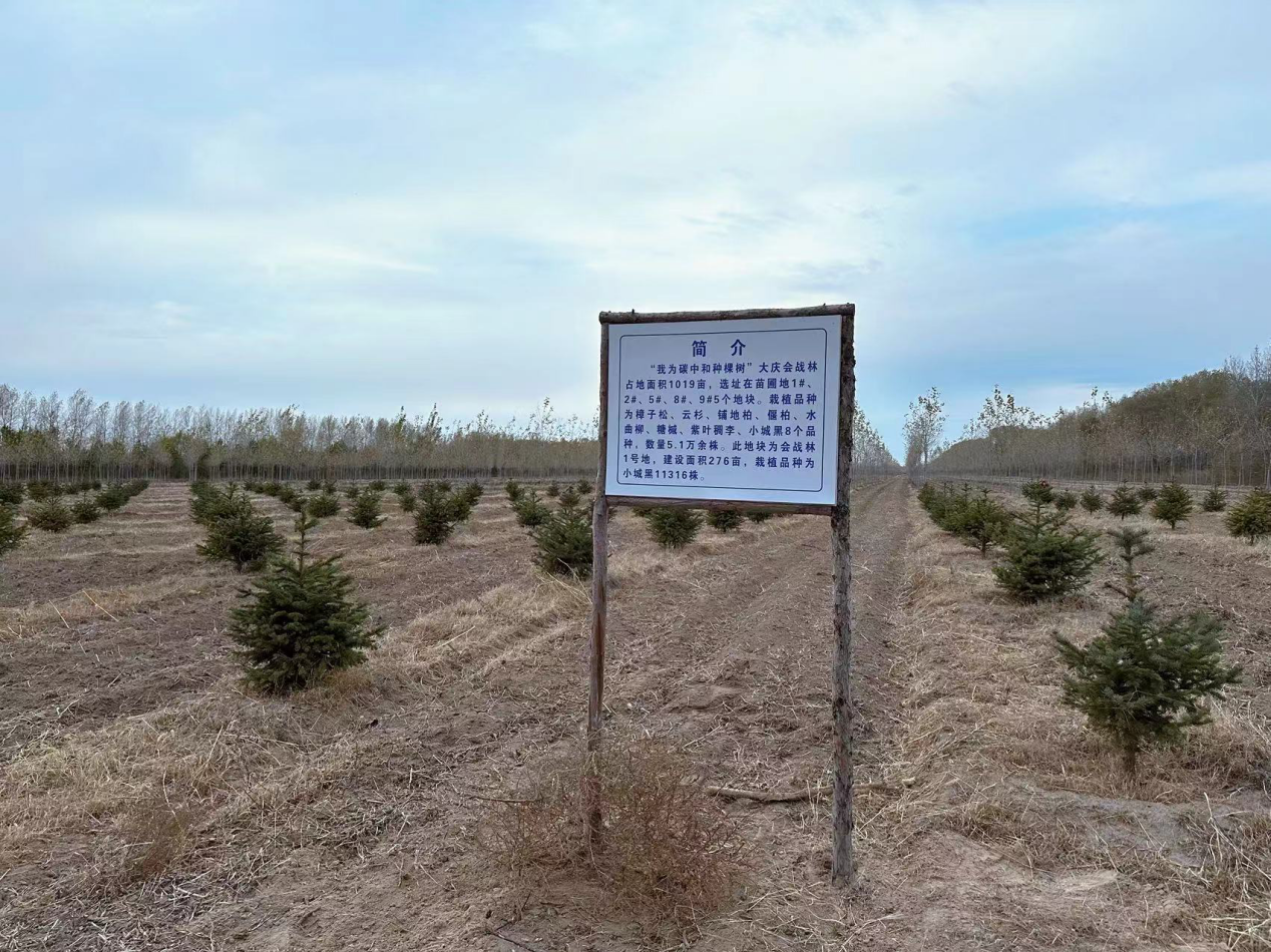 图片新闻｜大庆油田：绿色转型显成效