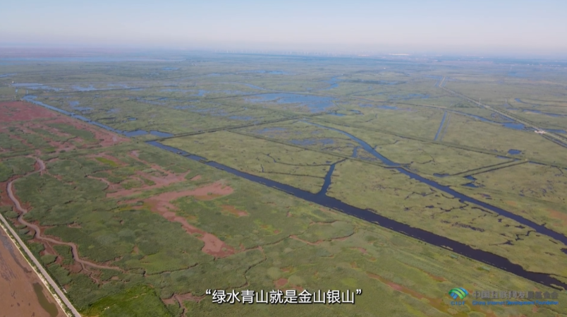 绿水青山“瞰”中国丨“退养还湿”再造候鸟生态家园