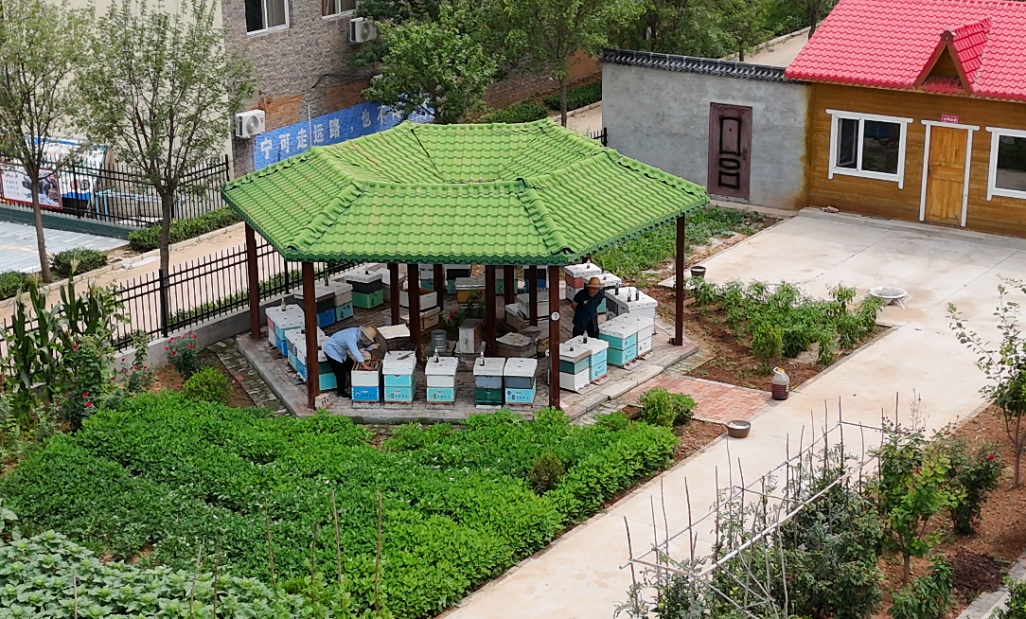 生态沁水铺就“蜂”味文旅路