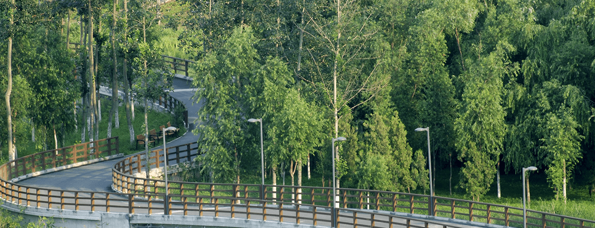 北京市政协委员付玉杰：绿隔建设解锁首都绿色发展新范式