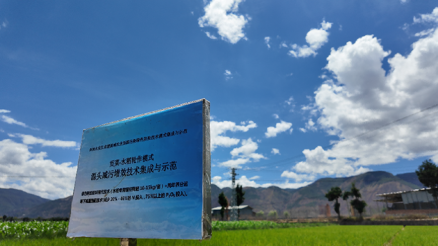 苍山洱海间，一张走了二十年的“生态答卷”