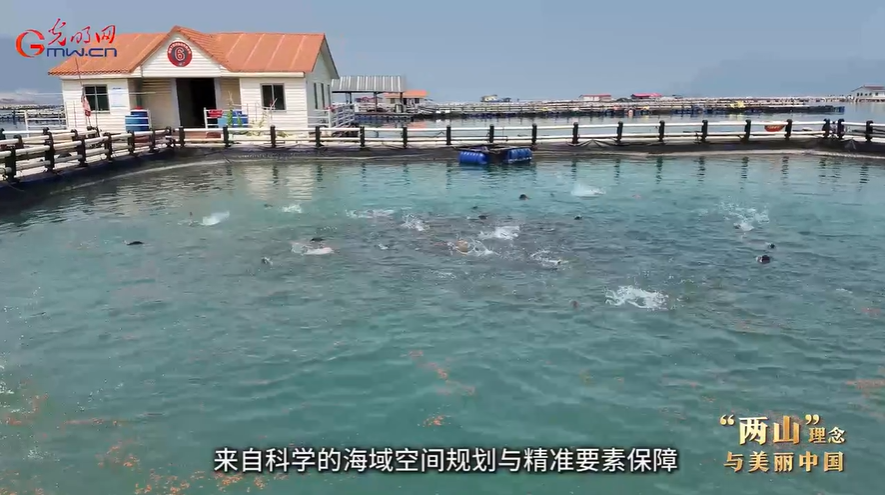 “两山”理念与美丽中国丨一条鱼一片海富一方民