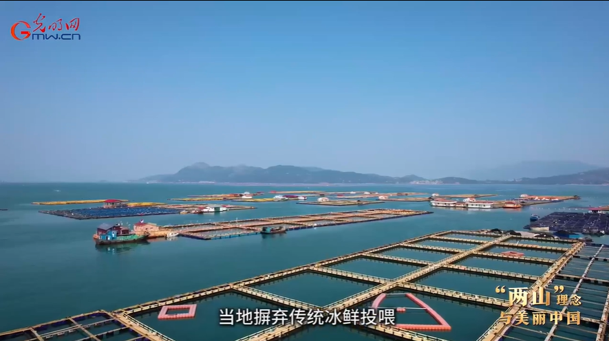 “两山”理念与美丽中国丨一条鱼一片海富一方民