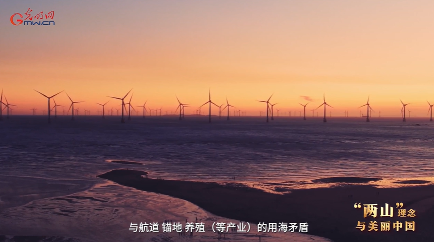 “两山”理念与美丽中国丨长风入海 绿电生澜
