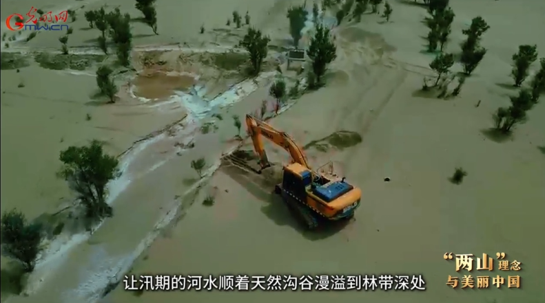 “两山”理念与美丽中国丨引洪植绿让胡杨林焕发新生机