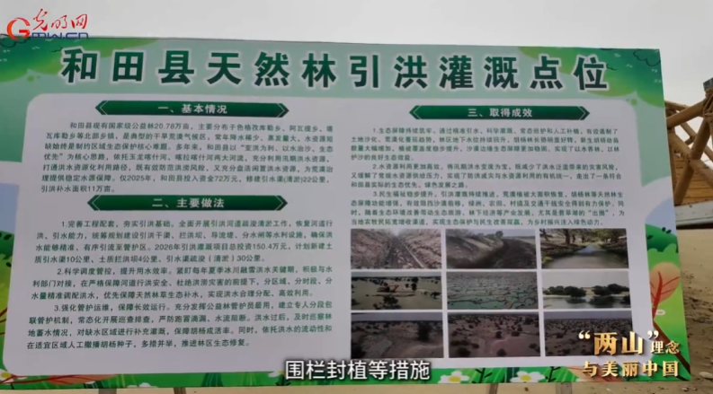 “两山”理念与美丽中国丨引洪植绿让胡杨林焕发新生机