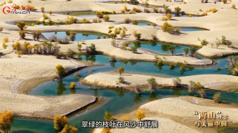 “两山”理念与美丽中国丨引洪植绿让胡杨林焕发新生机