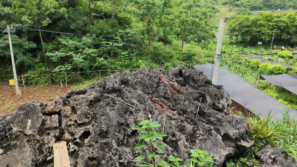 绿水青山“瞰”中国｜广西百色：石漠化土地“复绿”了！