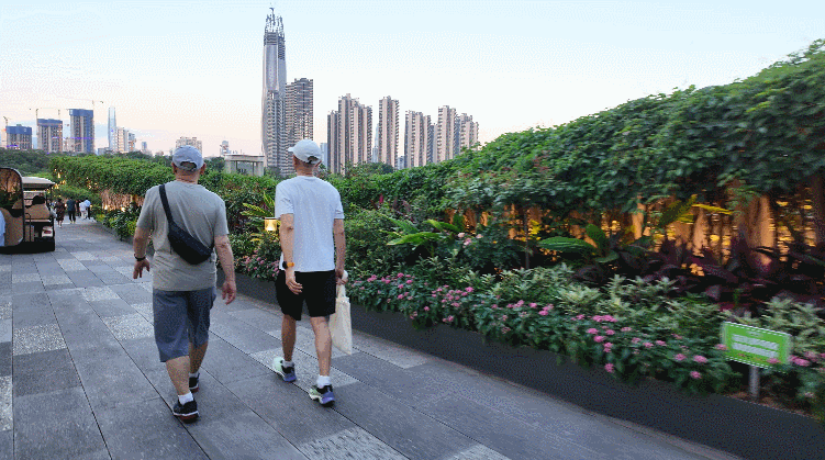 美丽中国·青绿手记丨让自然不再是城市的“孤岛风景”