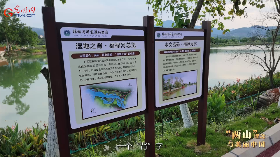 “两山”理念与美丽中国 | 昔日废弃矿坑，今朝“城市绿肾”