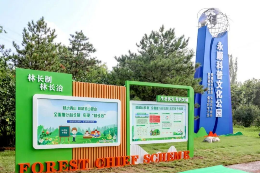 一绿公园何以四季常青？解码长效管护的“北京经验”