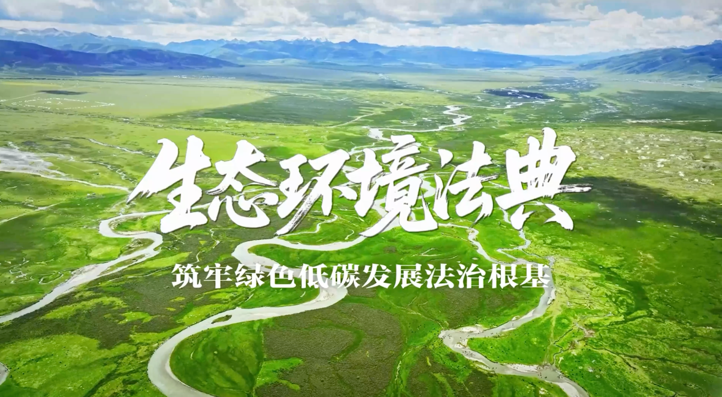 “两山”理念与美丽中国丨生态环境法典：筑牢绿色低碳发展法治根基