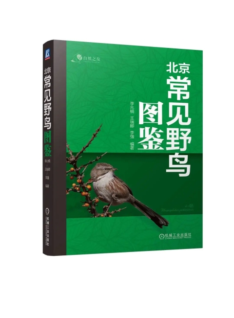 胡同里走出的城市生态守护者——专访《北京常见野鸟图鉴》主编李兆楠