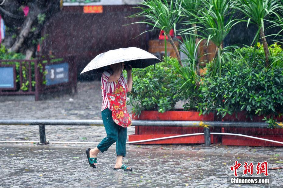台风“蝴蝶”携较强风雨影响海南